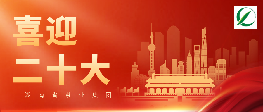 湖南省茶业集团组织收看中国共产党第二十次全国代表大会开幕会
